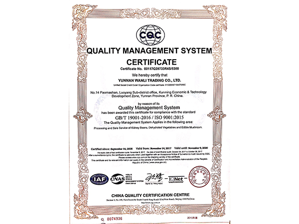 万力贸易英文质量管理体系认证证书
